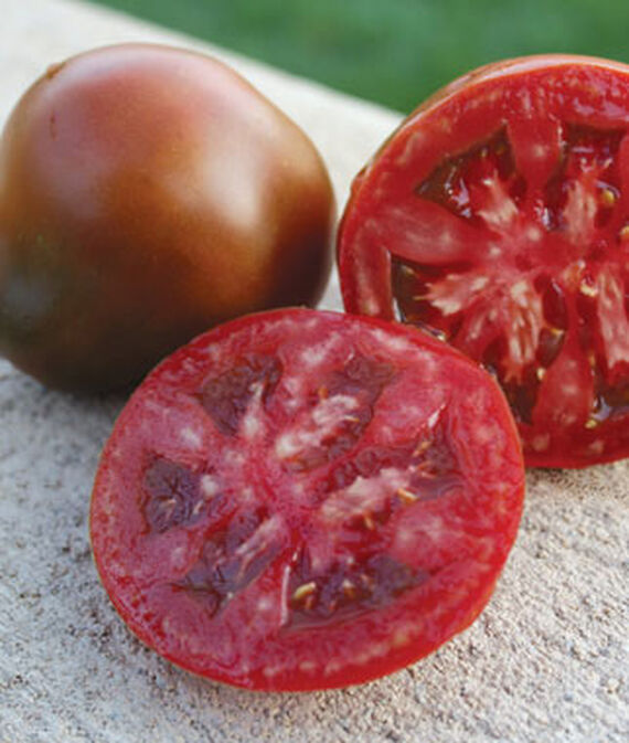 Tomato, Black Truffle
